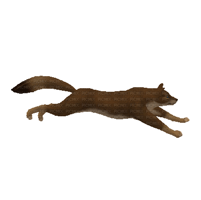 Floating Image
