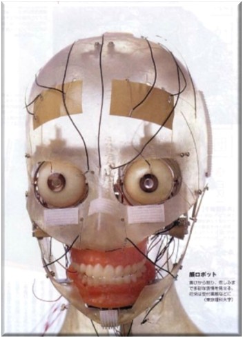 Face